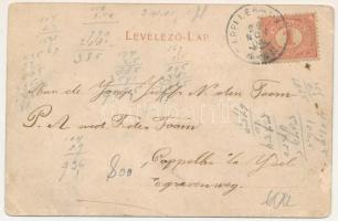 Léva, Levice; Kossuth tér, Városháza, Lang központi kávéháza, Kovács Sándor, Schweihs és Trebitsch, ...