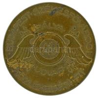 1940 k. "Budapest Székesfővárosi Közlekedési Rt. - Pálya Udvar AÜ / B.SZ.K.R.T - 10 Pengőbárca" réz közlekedési bárca Szign.: Berán T:AU kis patina