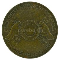 1946-1949 k. "Budapest Székesfővárosi Közlekedési Rt. / B.SZ.K.R.T - 50 Forint" réz közlekedési bárca Szign.: Berán T:AU,XF patina