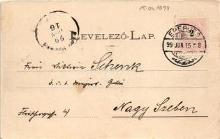 1899 Eperjes, Presov; látkép, a város déli része. Kosch Árpád kiadása, fénynyomat Divald / general v...