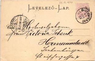 1899 Herkulesfürdő, Baile Herculane; látkép, fürdő. Stengel &amp; Co. (Dresden) 5354. / general ...