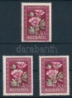 1950 2 db Virág I. 30f elcsúszott színnyomattal + támpéldány