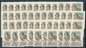 1956 46 db Magyarországi kutyafajták 1Ft metszéssel javított lemezhiba (69.000)