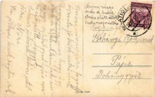 Dévény, Theben a. d. Donau, Devín (Pozsony, Bratislava); vár. Foto Fon / castle. photo (kis szakadás...