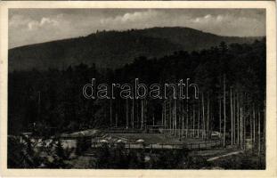 1934 Bártfa, Bártfafürdő, Bardejovské Kúpele, Bardiov, Bardejov; Strand Panorama / látkép, strand / general view, spa + "BADACSONYLÁBDIHEGY POSTAI ÜGYN." (EK)