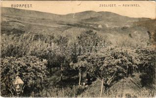 Budapest XII. Zugliget, látkép + "IV. Károly király koronázása napján 1916. dec. 30. Budapest" So. Stpl. (felületi sérülés / surface damage)