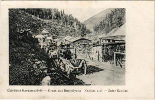 1917 Ruszpolyána, Havasmező, Havaskő, Poienile de sub Munte, Ruspoiana (Máramaros); Kapilas alul / Unter Kapilas / mountain (EK)