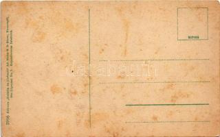 Pitesti, Palatul Administrativ / administrative palace (fl)