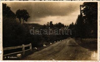 1940 Előpatak, Valcele; út / road (EB)
