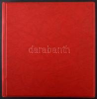 Tartalmas lemezhiba, tévnyomat, érdekesség tétel 21 lapos nagy méretű berakóban, másodpéldányokkal, ...