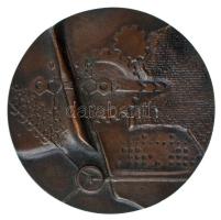 1987. "XX. FMKT Budaprint - 1987 Balatonföldvár" kétoldalas bronz emlékérem. Szign.:SzL (76,5mm) T:AU,XF