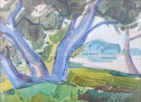 Nagybányai Nagy Zoltán (1904-1981): Színes táj. Akvarell, papír, jelzett. Hátoldalán Képcsarnok Vállalat címkéjével. Üvegezett fakeretben. 33,5x47,5 cm