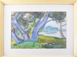 Nagybányai Nagy Zoltán (1904-1981): Színes táj. Akvarell, papír, jelzett. Hátoldalán Képcsarnok Váll...