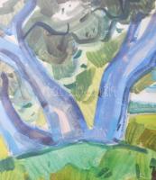 Nagybányai Nagy Zoltán (1904-1981): Színes táj. Akvarell, papír, jelzett. Hátoldalán Képcsarnok Váll...