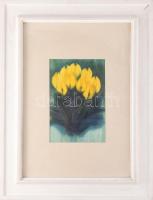 Macskássy Izolda (1945-2021): Tulipánok. Selyemkollázs, vegyes technika, jelezve jobbra lent. Üvegez...