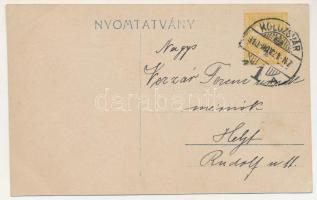 1910 Kolozsvár, Cluj; Joánovics Testvérek fényképészek reklámja "Erdély legnagyobb műintézete, ...