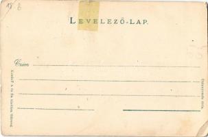 Demsus, Densus (Hunyad); Középkori ortodox templom. Kendoff A. és fia kiadása (Hátszeg) / Medieval O...