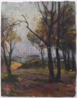 ifj. Kovács János (1890-1957): Erdőszéle. Olaj, vsázon, kartonra kasírozva, jelzett. Körbevágva. 32,5×25,5 cm.
