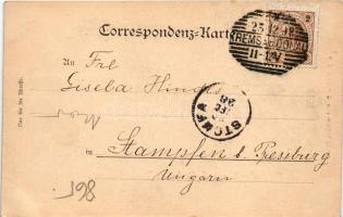 1898 Spitz an der Donau, rothes Thor. F. Pölzl / gate (EK)