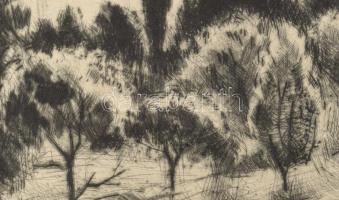 Iván Szilárd (1912-1988): Napsütés a Balatonon. Rézkarc, papír, jelzett, kartonra kasírozva. 24,5x29...