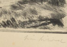 Iván Szilárd (1912-1988): Napsütés a Balatonon. Rézkarc, papír, jelzett, kartonra kasírozva. 24,5x29...