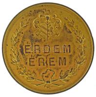 1876. "Az 1876 évi Országos Ipar-termény- és Állat-kiállítás Szegeden / Érdem Érem" kétoldalas aranyozott, vert bronz érdemérem (50mm) T:XF kopott aranyozás