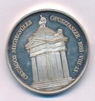 Fritz Mihály (1947-) 1993. "Országos Megyegyűlés Ópusztaszer - Csongrád Megye" kétoldalas ezüstözött bronz emlékérem kapszulában (42mm) T:AU,XF (eredetileg PP) patina