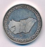1990 k. "Somogy megye / Somogy megye Közgyűlése" ezüstözött fém emlékérem. Szign.: BL (42,5mm) T:AU,XF (eredetileg PP) patina