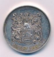 1990 k. "Somogy megye / Somogy megye Közgyűlése" ezüstözött fém emlékérem. Szign.: BL (42,...