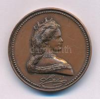 DN "Gödöllői Királyi Kastély / Sisi" bronz emlékérem. Szign.: LS (30mm) T:AU,XF