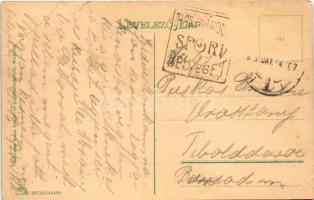 Miskolc, Diósgyőri várrom. Schvarcz Soma kiadása + "Használjon sport bélyeget" (EB)