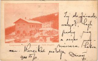 1900 Ucka, Monte Maggiore; Kronprinzessin Stephanie (Stefanie) Schutzhaus / Stefánia koronahercegnő menedékház / Dom Stefanije / tourist house in winter (EK)