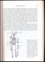Kovács László (szerk.): Honfoglalás és régészet. A honfoglalásról sok szemmel I. Bp., 1994, Balassi....