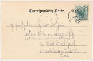 Campulung Moldovenesc, Moldvahosszúmező, Kimpulung (Bukovina, Bucovina, Bukowina); Dea Pension Neuma...