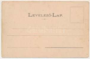 Alsóilosva, Alsó-Ilosva, Ilisua; Hye kastély / castle (fl)