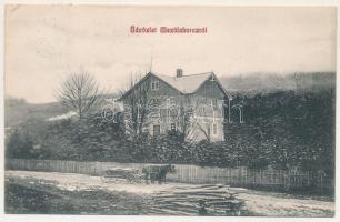 Mezőlaborc, Medzilaborce; villa télen. Schönfeld Ármin kiadása / villa in winter (EK)