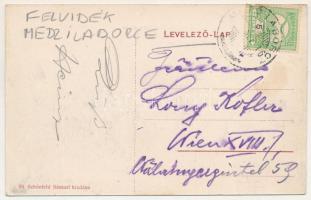 Mezőlaborc, Medzilaborce; villa télen. Schönfeld Ármin kiadása / villa in winter (EK)