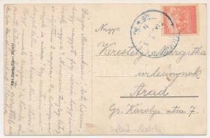 1918 Csákigorbó, Csáki-Gorbó, Garbou; Báró Jósika Sámuel kastélya. Tüzes Kristóf kiadása / castle (f...