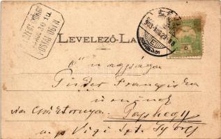 1903 Léva, Levice; Gimnázium. Nyitrai és Társa kiadása / high school (fl)