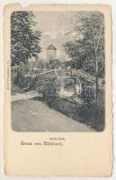 Szászsebes, Mühlbach, Sebesul Sasesc, Sebes; Stadt-Park / park. Adolf Weissörtel &amp; Co. kiadása / park (b)