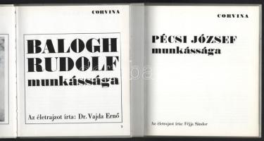 Fotóművészeti kiskönyvtár sorozat 2 kötete: Balogh Rudolf munkássága. Az életrajzot írta: Vajda Ernő...