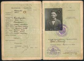 1929 Komárom, Magyar Királyság által kiállított fényképes útlevél / Hungarian passport