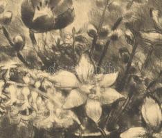 Bordás Ferenc (1911-1982): Csendélet, rézkarc, papír, jelzett, lapszéli egészen apró sérüléssel és a...