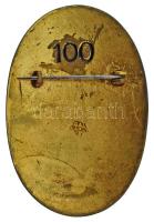 DN "Idegenvezető - Fremdenführer" zománcozott, aranyozott bronz jelvény hátoldalon "1...