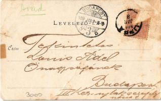 1900 Lippa, Lipova; Solymosi vár. Willner Leó kiadása / Cetatea Soimos / castle (b)