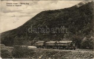 Magyar-román határvidék, Hungarian-Romanian border; Tönkös vonat, iparvasút. Adler és fia kiadása (Brassó, Brasov) / Klotz-Zug / Trenul cu busteni / narrow gauge railway, industrial railway, wood industry, train with logs (EB)