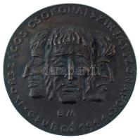 Borsos Miklós (1906-1990) 1984. "IX. Országos Csokonai Színjátszónapok - Csurgó 1984" egyoldalas, öntött bronz emlékérem (81mm) T:AU