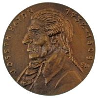Borsos Miklós (1906-1990) 1982. "Joseph Haydn születésének 250. évfordulója" kétoldalas, öntött bronz emlékérem (88mm) T:AU