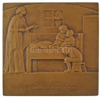 Beck Ö. Fülöp (1873-1945) 1906. "Gyulai Pál születése 80-ik évfordulójára a műbarátok köre 1906" bronz emlékplakett (74,5x77mm) T:AU Hungary 1906. "Gyulai Pál születése 80-ik évfordulójára a műbarátok köre 1906 (For the 80th Anniversary of birth of Pál Gyulai)" bronze commemorative plaque. Sign.: Beck Ö. Fülöp (74x76,5mm) C:AU HP 838