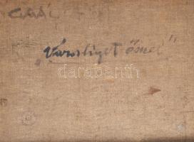 Gaál Ferenc (1891-1956): Városliget ősszel, Budapest, 1927. Olaj, vászon, jelezve jobbra lent. Hátol...